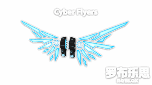 Cyber Flyers