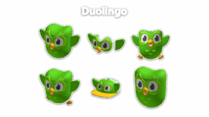 Duolingo Accessories