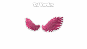 Tai Verdes Wings